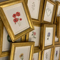Load image into Gallery viewer, Small Framed Flower Art (24 Styles)
