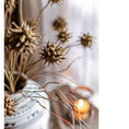 Load image into Gallery viewer, Faux Thistle Seed Pod Stem 33" Tall