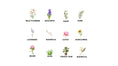 Load image into Gallery viewer, Small Framed Flower Art (24 Styles)