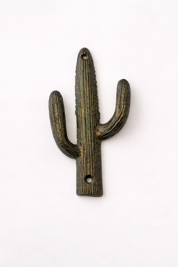 Green Cactus Wall Hook