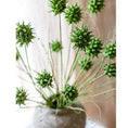 Load image into Gallery viewer, Faux Thistle Seed Pod Stem 33" Tall
