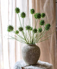 Load image into Gallery viewer, Faux Thistle Seed Pod Stem 33" Tall
