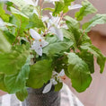 Load image into Gallery viewer, Wild Garden Greenery Bunch 22" Tall
