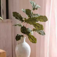 Load image into Gallery viewer, Wild Garden Greenery Stem 36" Tall
