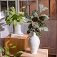Load image into Gallery viewer, Wild Garden Greenery Stem 36" Tall
