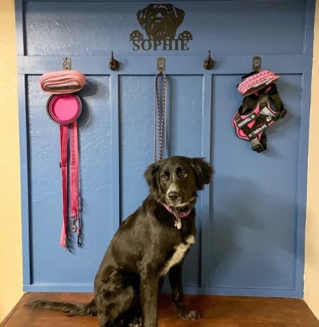 Dog leash holder for wall(18 Colors), Dog Hook, Dog Leash Holder, Dog Tail Hook