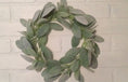 Load and play video in Gallery viewer, Lambs Ear Wreath, Mini Wreath, Candle Ring, Farmhouse Wreath, Mini Wreath Farmhouse, Mini Lamb Ear Wreath, Wreath, Wreaths, Wedding Wreath
